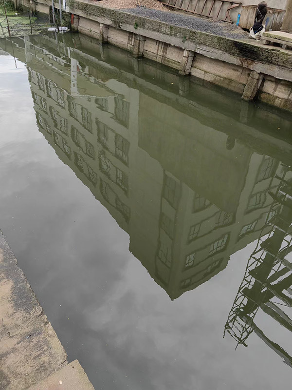 木材加工污水處理有哪些?