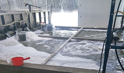 工業廢水處理工藝有哪些?