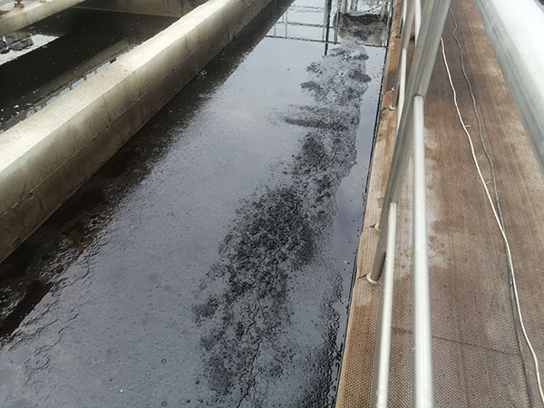 超濾膜分離技術在油脂加工中的應用