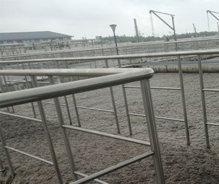 均苯四甲酸二酐廢水處理方法及其應用