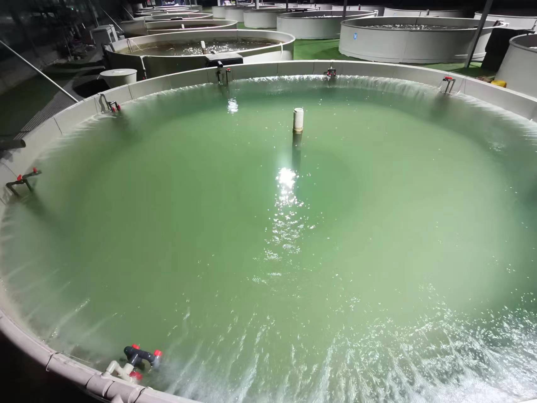 池塘養殖廢水處理工程