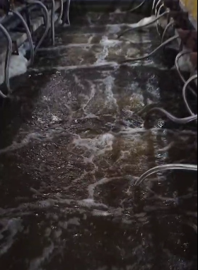 經(jīng)過mbr的水還是有濁度原因有哪些?