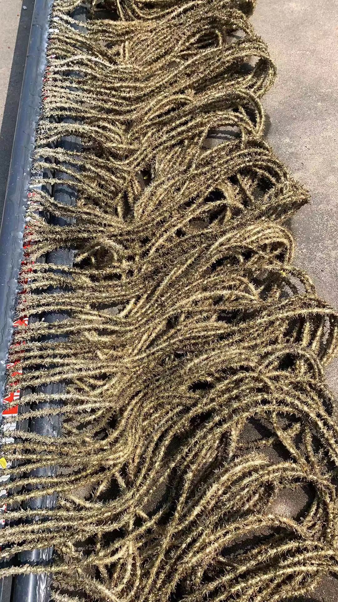 水污染的類型和特點有什么?