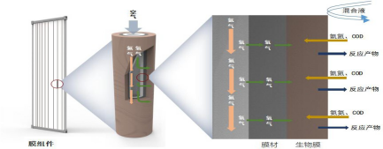 水產(chǎn)養(yǎng)殖尾水處理,IOSBR新技術(shù)突破