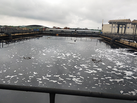 污水處理菌種是核心關(guān)鍵,哪一款合適做污水項(xiàng)目?