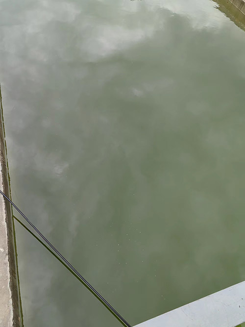 氨氮廢水處理方法有哪些?